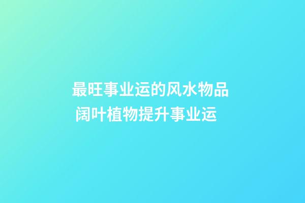 最旺事业运的风水物品  阔叶植物提升事业运
